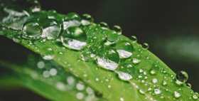 公司管理體系及相關(guān)證書