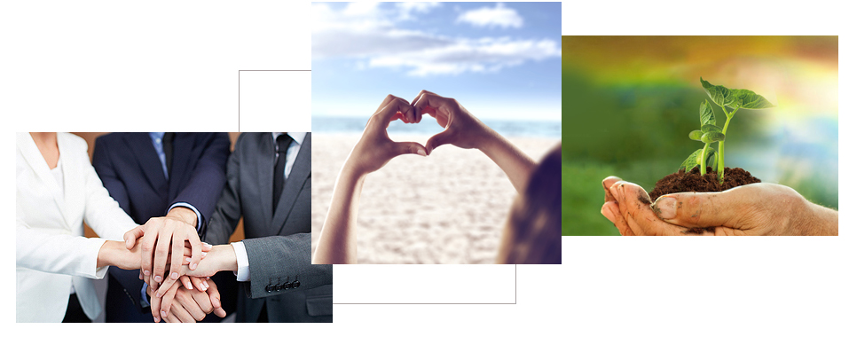 企業(yè)社會責(zé)任